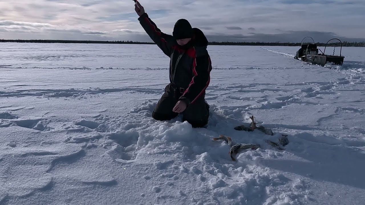 Ловим жирного черного окуня на озере смотреть онлайн