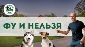 Фу и нельзя - команды, которые убивают доверие вашей собаки