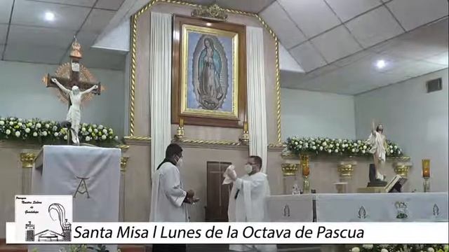 Santa Misa l Lunes de la Octava de Pascua смотреть онлайн