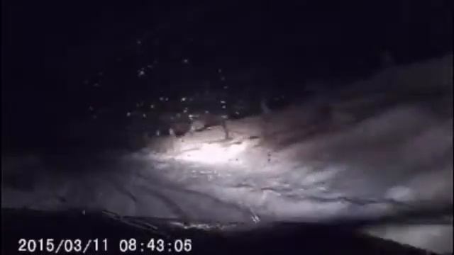 Forester vs la nieve de Coyhaique смотреть онлайн
