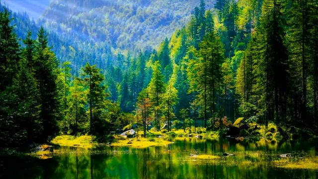 Природа Под Исламскую Расслабляющую музыку смотреть онлайн