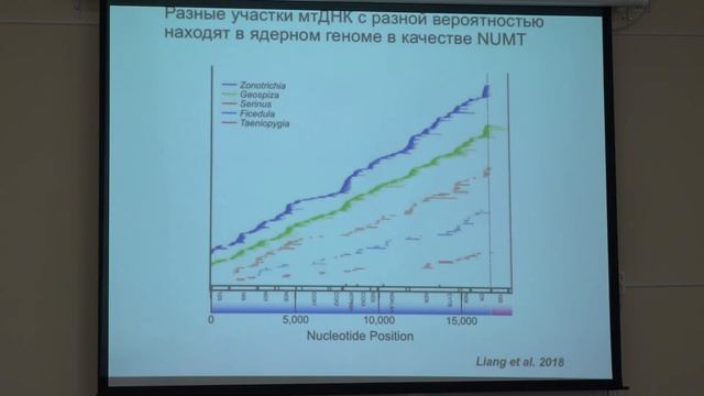 Кнорре Д. А. - Структура и функция митохондрий - 6. Координация работы митохондрий и ядра клетки смотреть онлайн