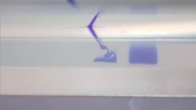 3 Running an agarose gel 181152 смотреть онлайн