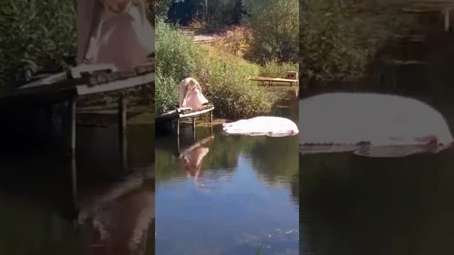 Клип Корпорация Юмора смотреть онлайн