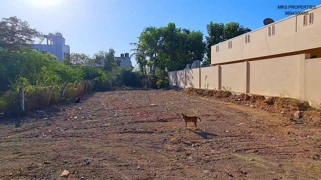 8 CENT DTP SITE FOR SALE IN SUGUNA PIP SCHOOL NEAR NEHRU NAGAR AIRPORT COIMBATORE смотреть онлайн