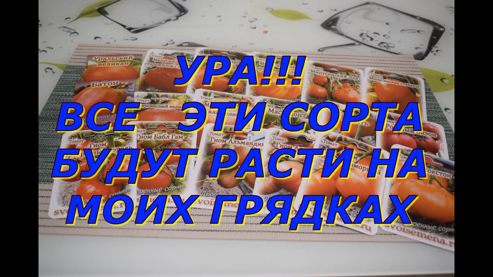 Распаковываю посылку с семенами томатов которые буду выращивать в новом сезоне смотреть онлайн