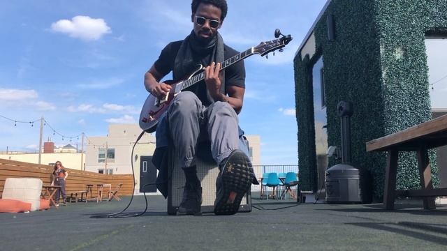 PRS SE Hollowbody Standard