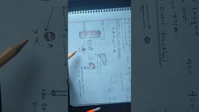 zero order kinetic in bangla смотреть онлайн