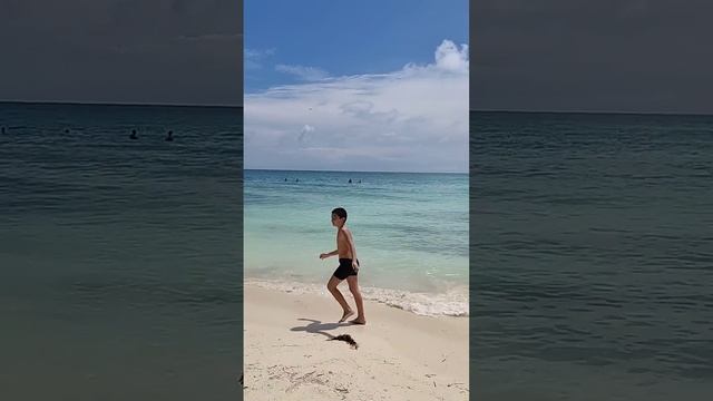 Пляж Кайо Коко в солнечный день. Куба за 57 тысяч рублей с перелетом 5*. @tutsi-dieti смотреть онлайн