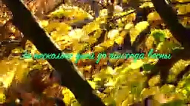 01. Исихия. иером Симон (Безкровный)_144p.mp4