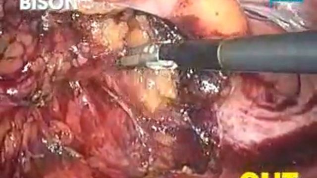 Bison смотреть онлайн