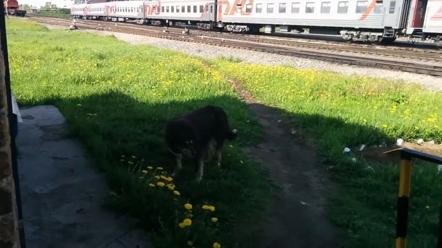 Облили Мишку водой .Почти смотреть онлайн