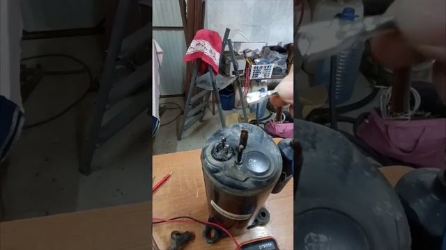 Скрытые мудрецы