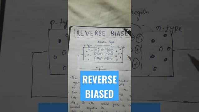 REVERSE BIASED #electrical #electricalengineering #engineering #class #analog #semiconductor смотреть онлайн