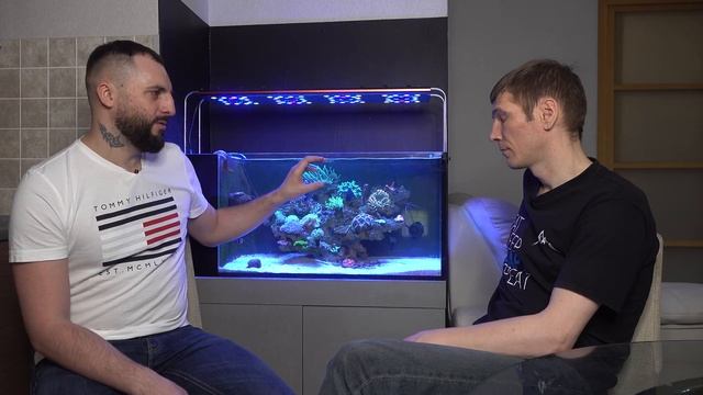 Перезапуск аквариума. Зачем и как правильно смотреть онлайн