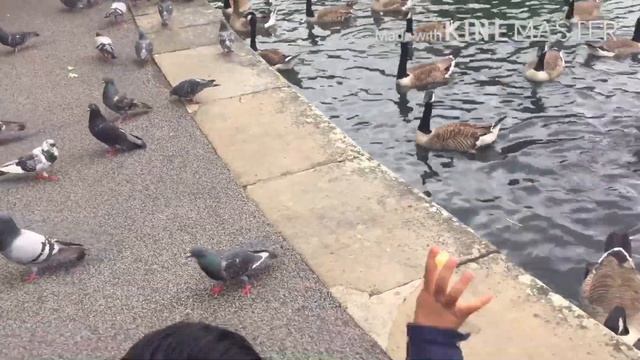 Sundor akti park a amra......,,,,. Nice place смотреть онлайн