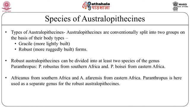 Identification and Description of Fossil casts смотреть онлайн