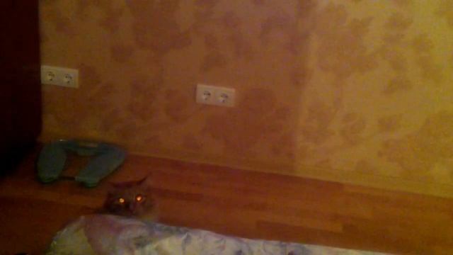 Кот-Баскервилей смотреть онлайн