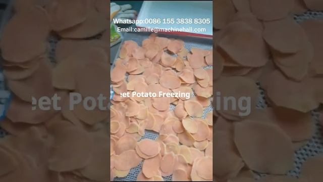 Sweet Potato Chips Vacuum Frying Machine Processing Line смотреть онлайн