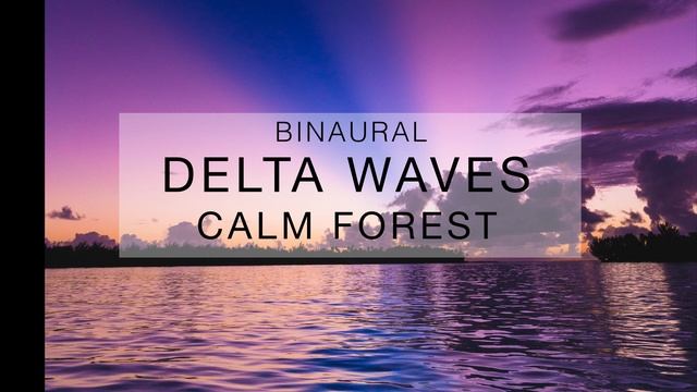[Delta - Relax - S1:T5] Super memory, melatonin, DHEA, lucid dreaming, motivation, astral projectio смотреть онлайн