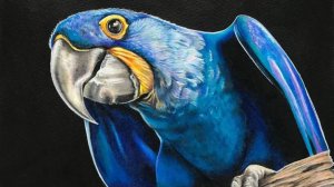 СУЩНОСТЬ 7 - ДЖЕРРИ // ЗАКУЛИСЬЕ