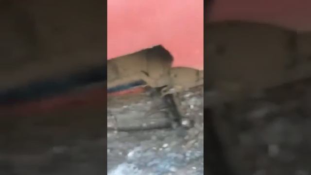 Улётное видео лётчики на акросе 585 не выдержал нагрузки смотреть онлайн