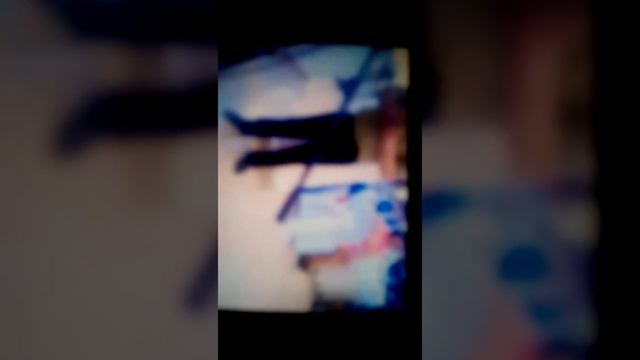 Туйда Санкт Петербурга 2016 смотреть онлайн