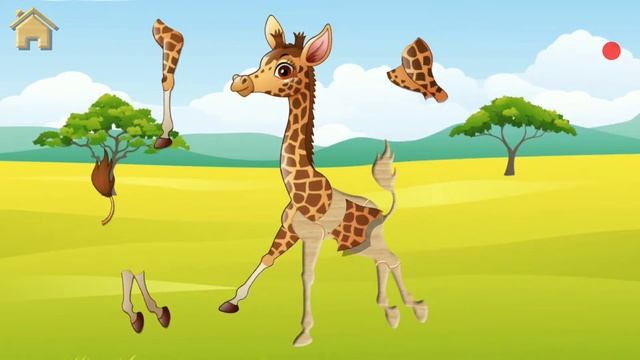 Safari Puzzles Funny Animals Game For Kids #4