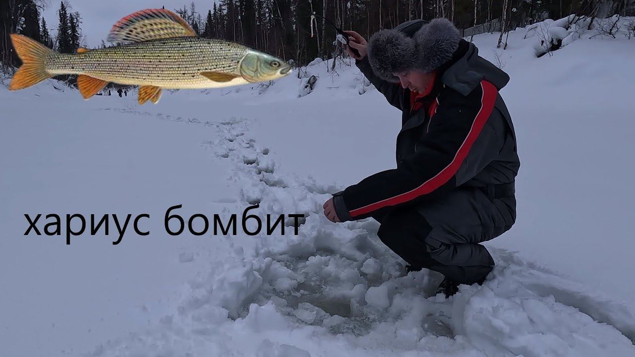 Ловля хариуса в таёжной речке смотреть онлайн