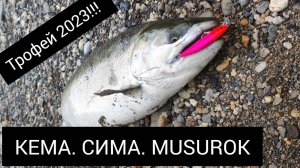Рыбалка в Росси. Трофей. Река Кема. Рыбалка Приморский край.