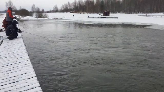 01.04. 22 г . Состояние участка с открытой водой и поимки до запуска !!! смотреть онлайн