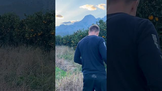 ЗАБРОШЕННЫЙ САД В ТУРЦИИ смотреть онлайн