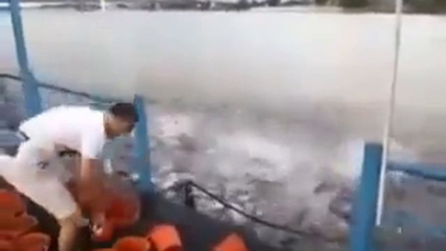 Fish in the lake instead of water | Рыба вместо воды смотреть онлайн