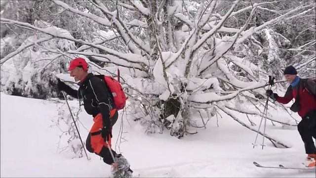 ARTEKO GAINA 29 2 2016 смотреть онлайн