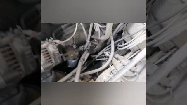 Газон некст ошибка 0276 или 0267 смотреть онлайн