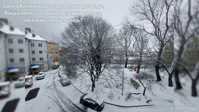 Первый снегопад и гололёд в Калининграде 21 ноября 2024 смотреть онлайн