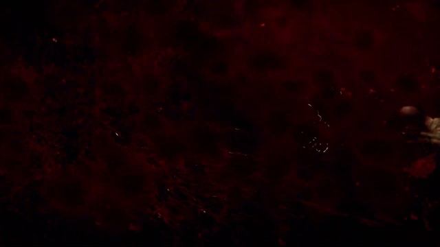 The Evil Within [Эпизод 1. Экстренный вызов] смотреть онлайн