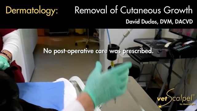 Veterinary Laser Surgery Series - VetScalpel CO2 Lasers смотреть онлайн