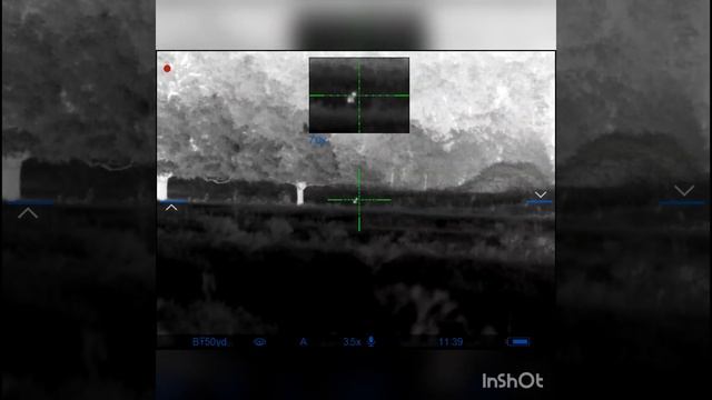 Pulsar trail 2 XQ50 coyotes, bobcat, and pig смотреть онлайн