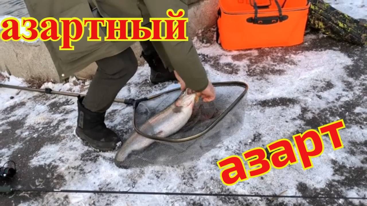 На Азарт зв азартом 21. 11. 24