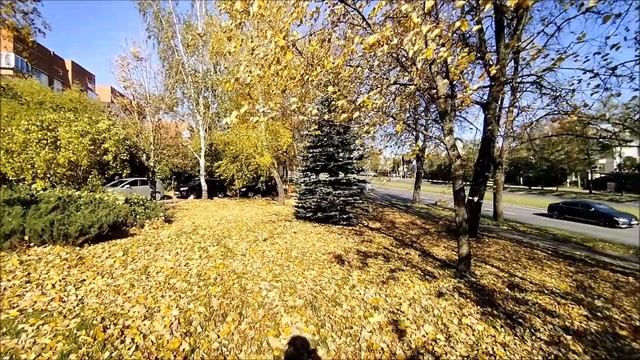 Ruduo Vilniaus aukso laiku 2021 m.|Осень в Вильнюсе золотая пора 2021. смотреть онлайн