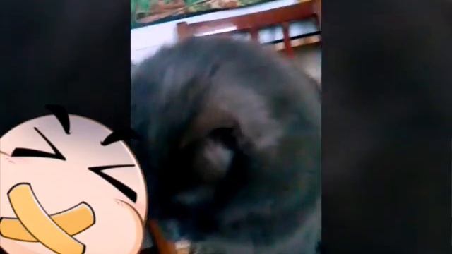 люся смотреть онлайн