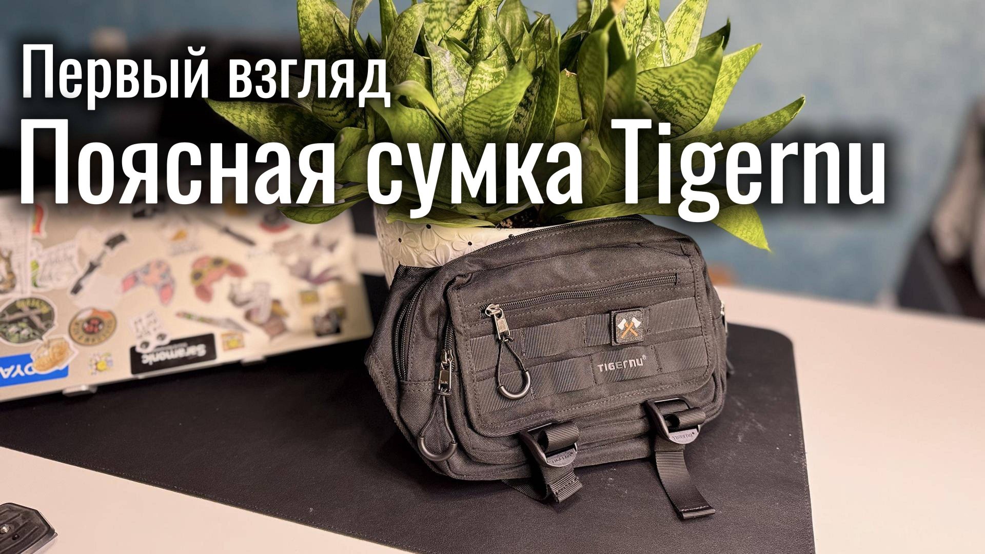Первый взгляд на поясную сумку Tigernu