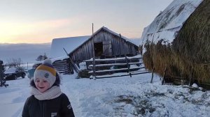 Деревенские будни. Убираем сено в сарай со стога. Деревенская жизнь