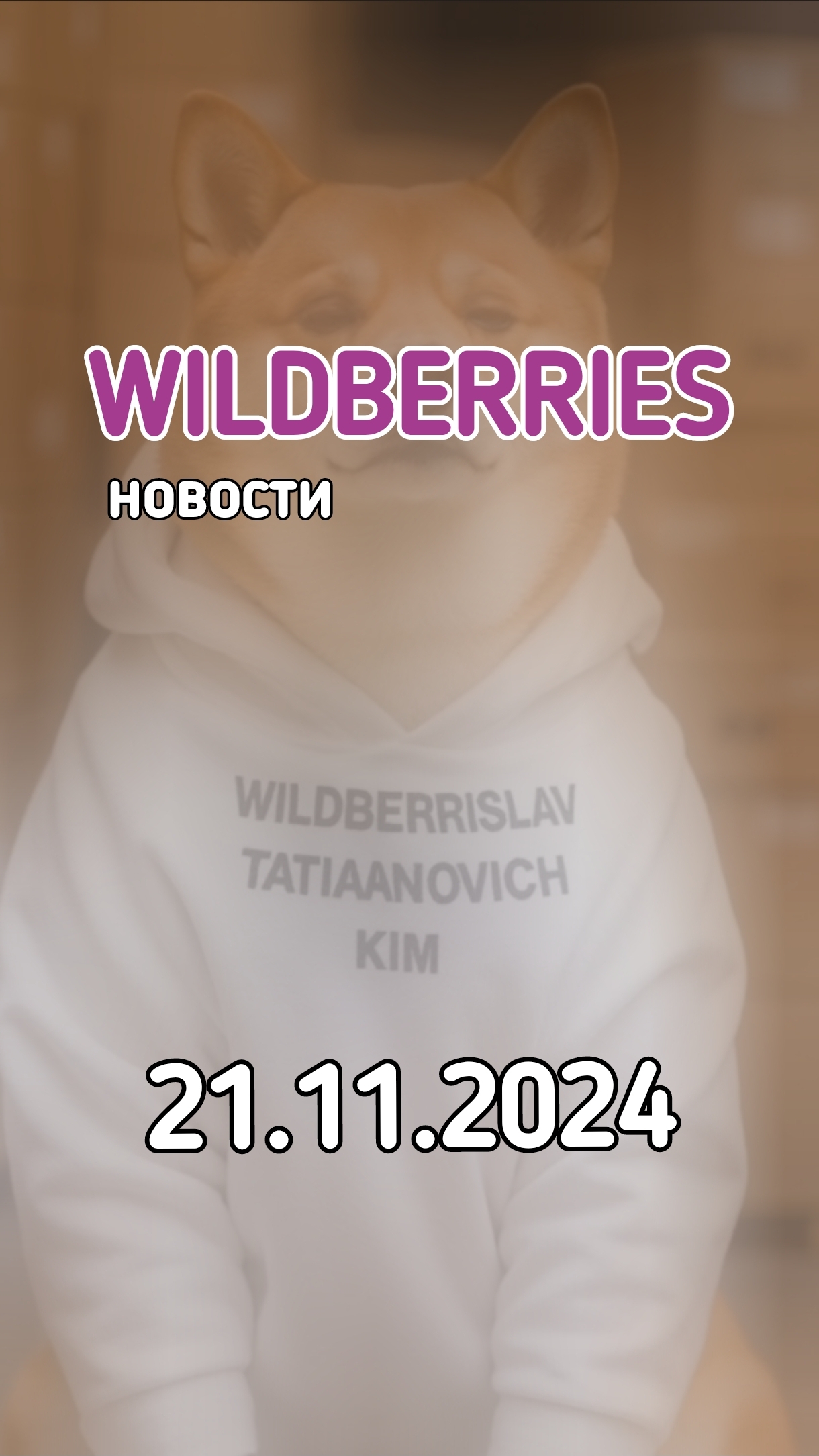 Новости Вайлдберриз от 21 ноября. Заходи на мой канал Очередной блогер про Маркетплейсы... смотреть онлайн