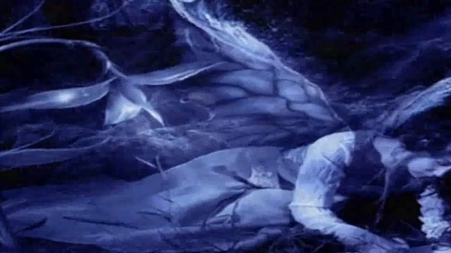 Dreamcatcher - Seventh Heaven