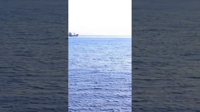 Севастополь Аренда Дома с Бассейном смотреть онлайн