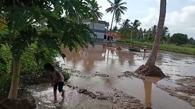 KMW Mega T 15 Kirlosker Power tiller Rotator Mini Tractor Running in Wetland смотреть онлайн