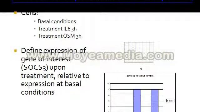 R T PCR смотреть онлайн