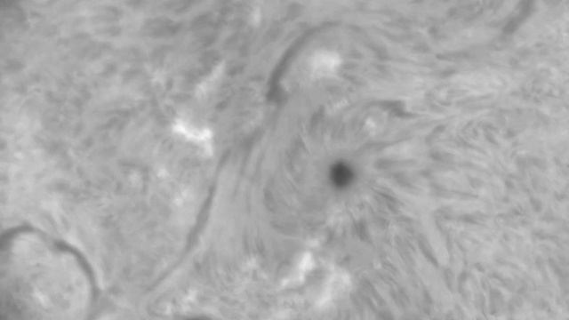 The sunspot : LS230THa + Quark prominence model + IMX 432 -12 27 51-20220425 смотреть онлайн